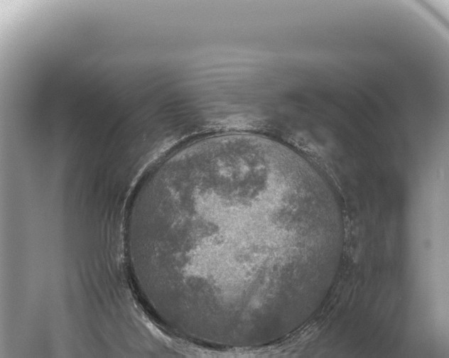 X0000059250012200510211641