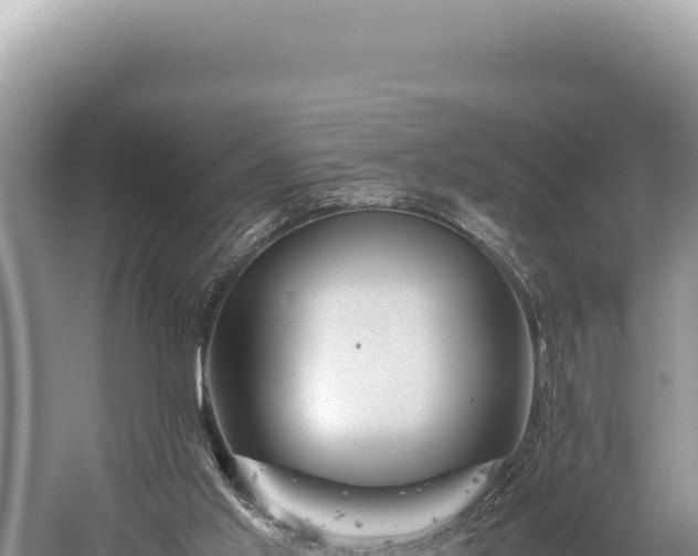 X0000059250013200510211641