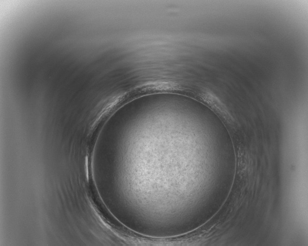 X0000059250014200510211641