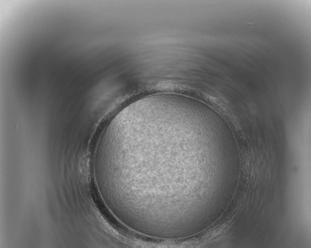 X0000059250016200510211641