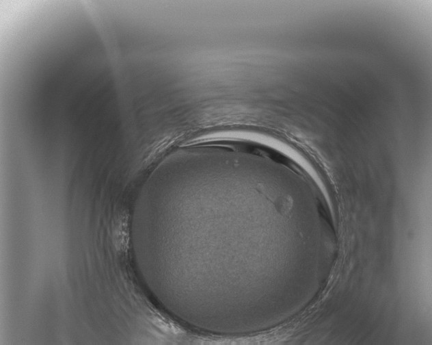 X0000059250017200510211641