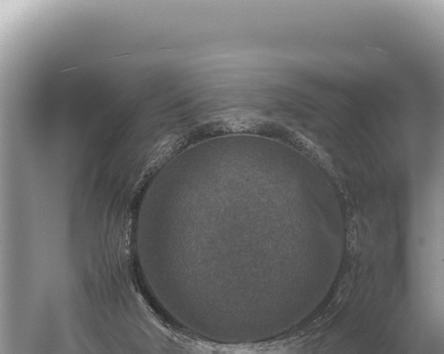 X0000059250018200510211641