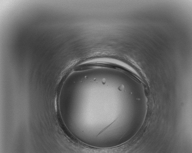 X0000059250019200510211641