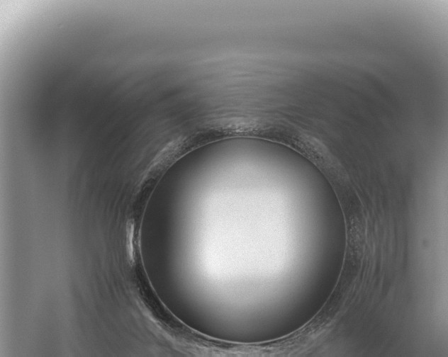 X0000059250024200510211641