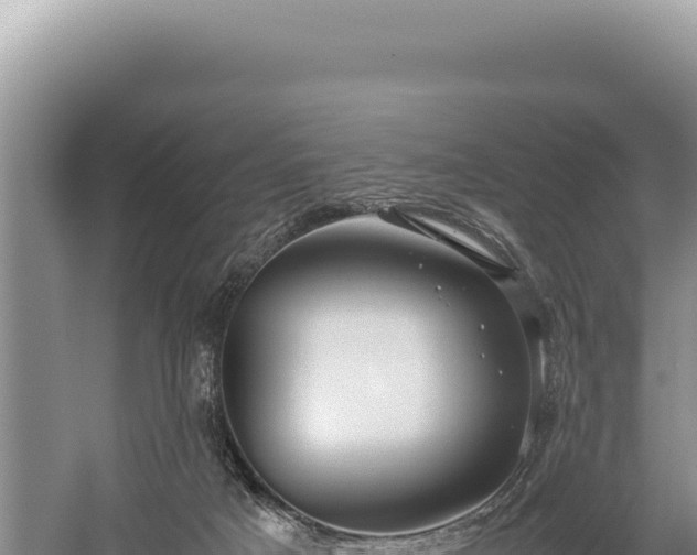 X0000059250025200510211641