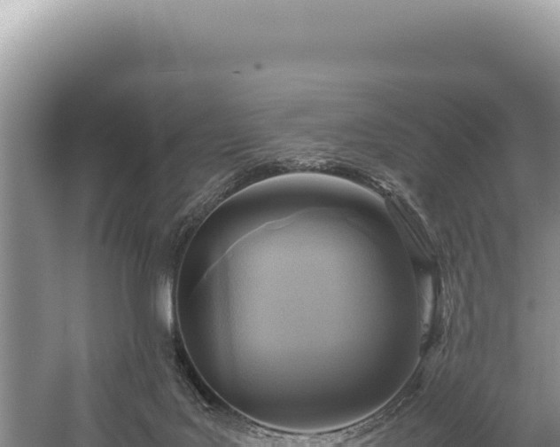 X0000059250027200510211641