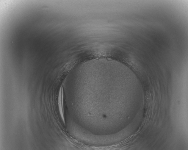 X0000059250029200510211641