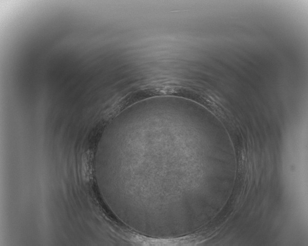 X0000059250030200510211641