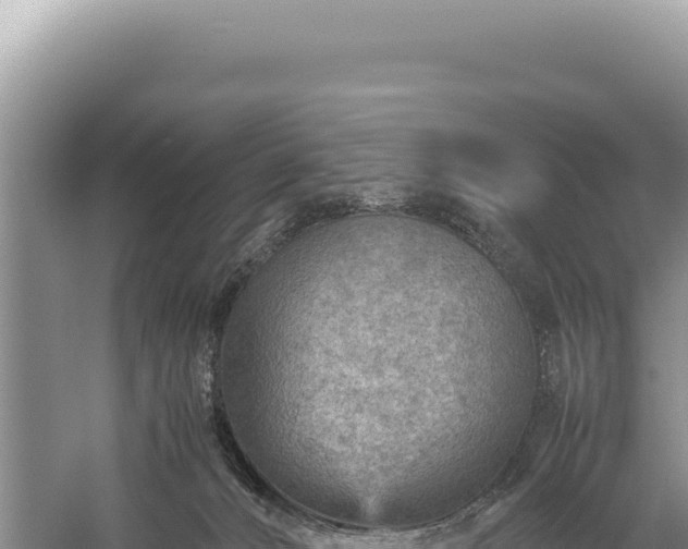 X0000059250032200510211641