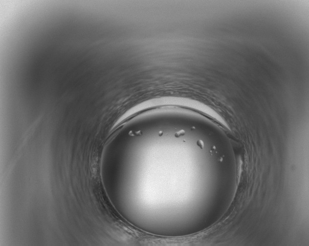 X0000059250033200510211641