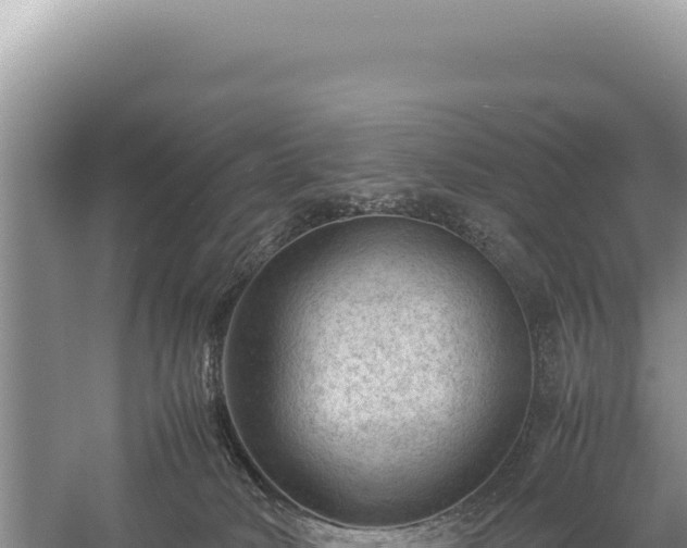 X0000059250034200510211641