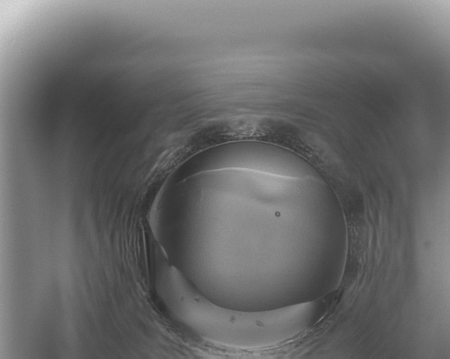 X0000059250035200510211641