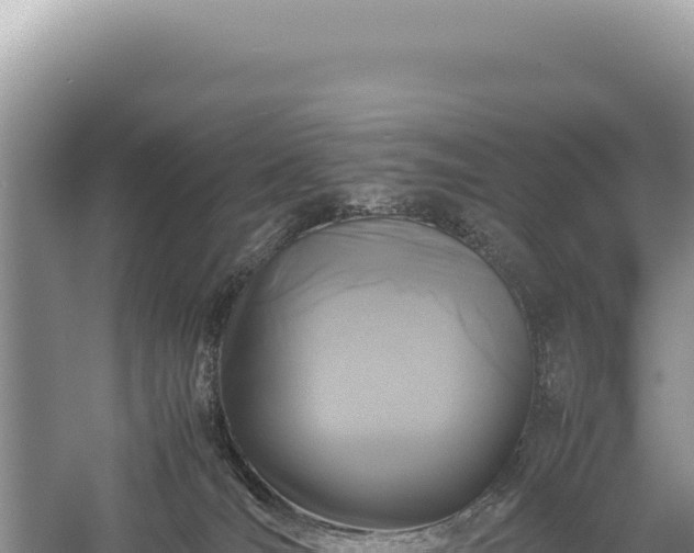 X0000059250036200510211641