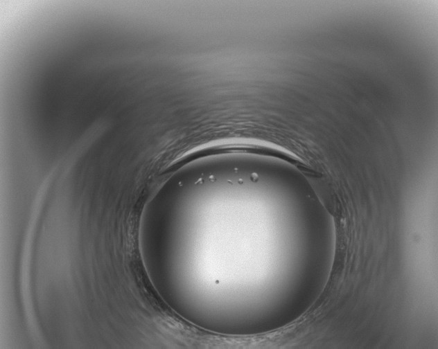 X0000059250037200510211641