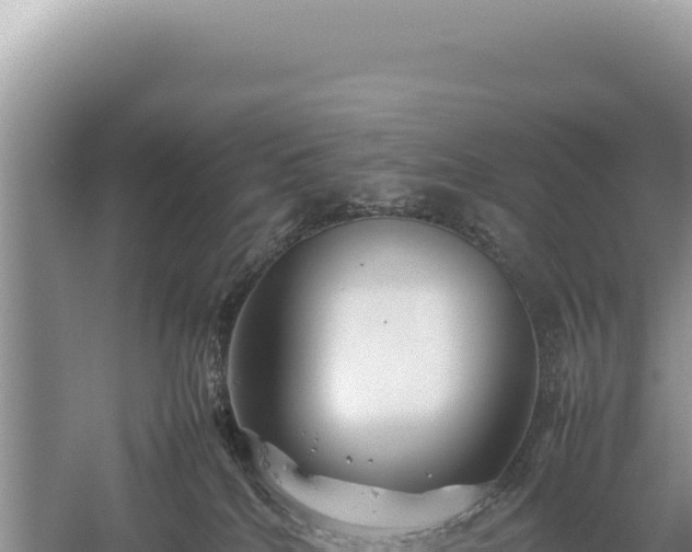 X0000059250040200510211641