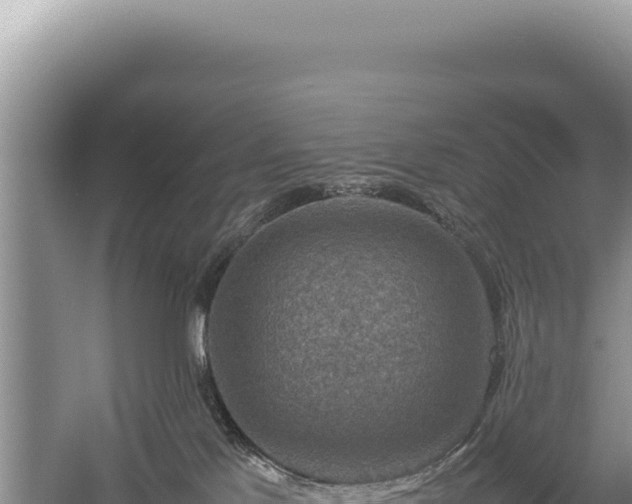 X0000059250041200510211640