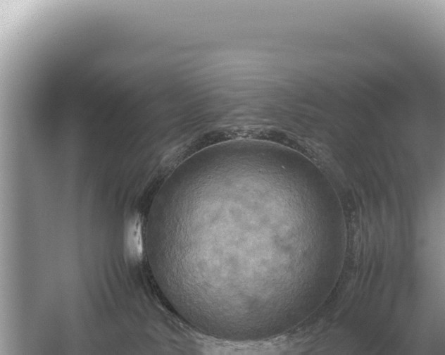 X0000059250042200510211640