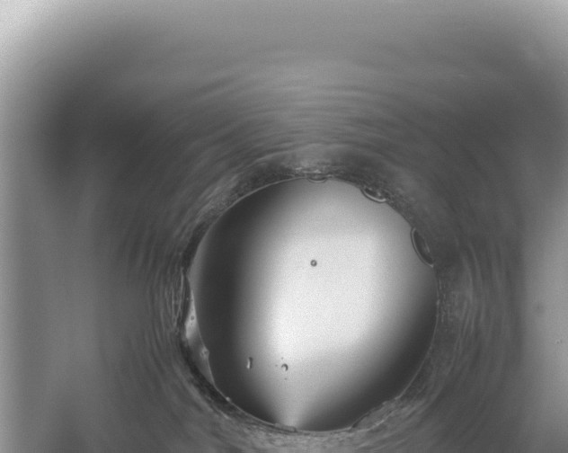 X0000059250044200510211640