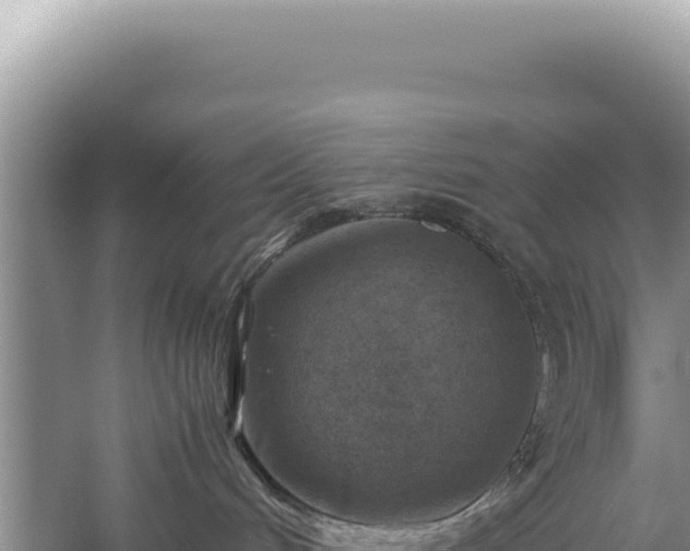 X0000059250048200510211640