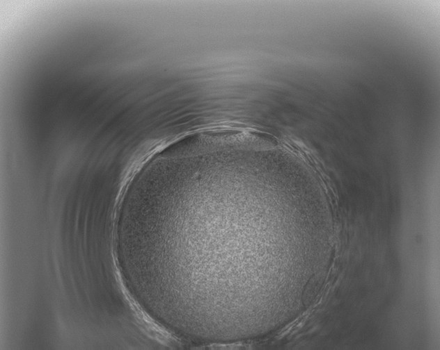 X0000059250049200510211640