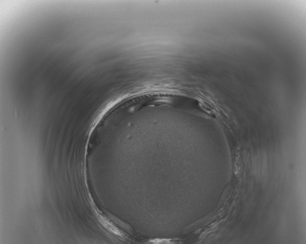 X0000059250052200510211640