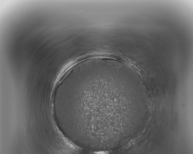 X0000059250053200510211640