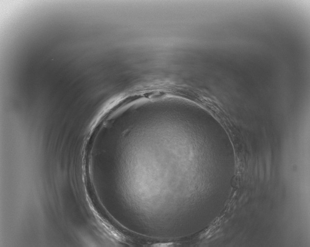 X0000059250054200510211640