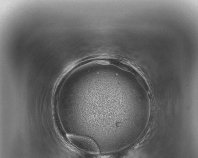 X0000059250055200510211640