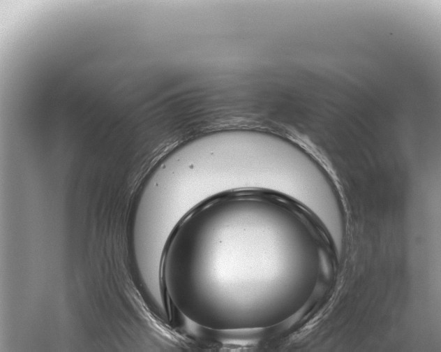 X0000059250057200510211640