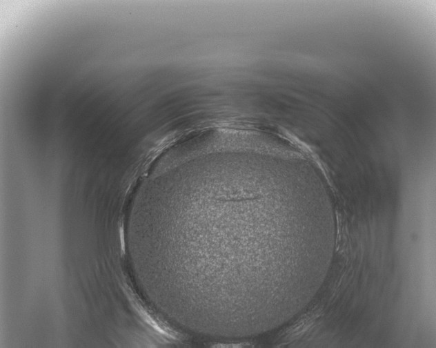 X0000059250061200510211640