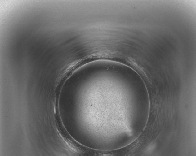 X0000059250062200510211640