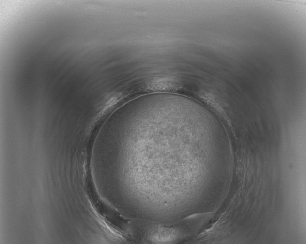 X0000059250063200510211640