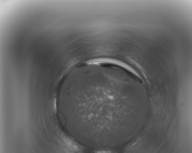 X0000059250067200510211640