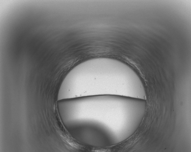 X0000059250069200510211640