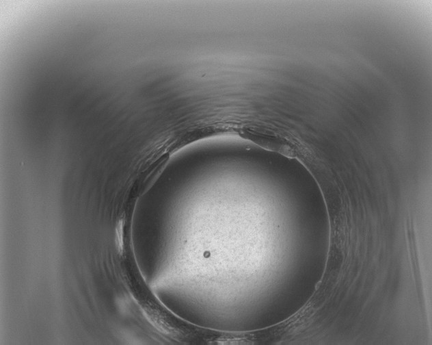 X0000059250070200510211640