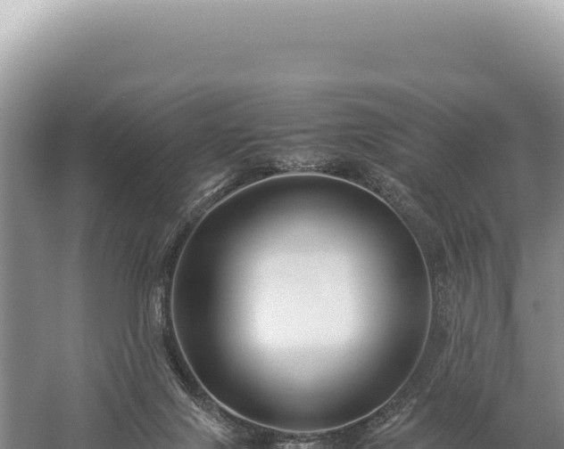 X0000059250071200510211640