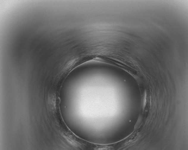 X0000059250072200510211640