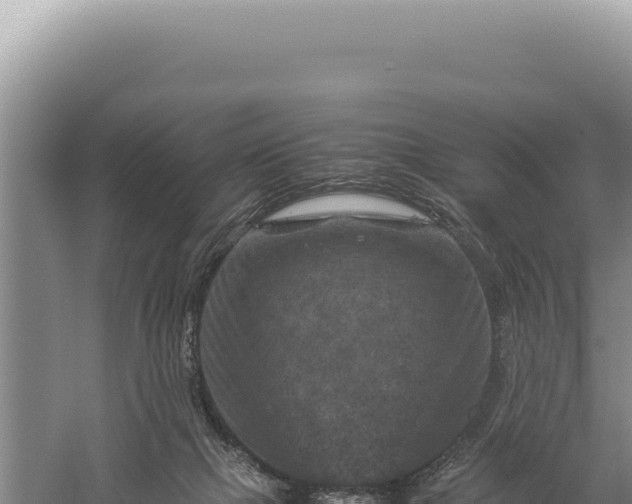 X0000059250073200510211640