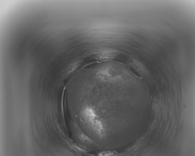 X0000059250076200510211640