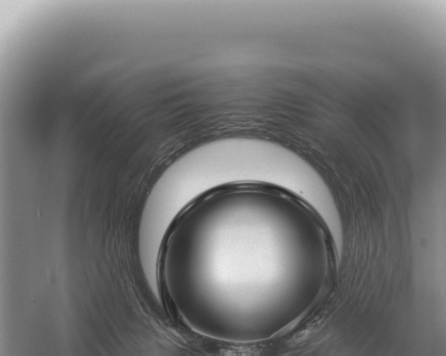 X0000059250079200510211640