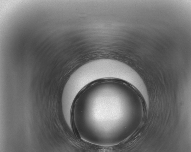 X0000059250080200510211640