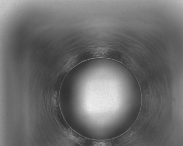 X0000059250083200510211640