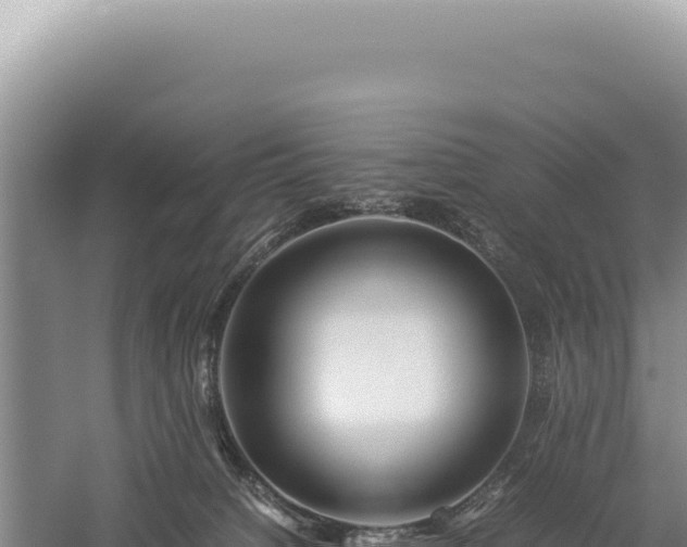 X0000059250084200510211640