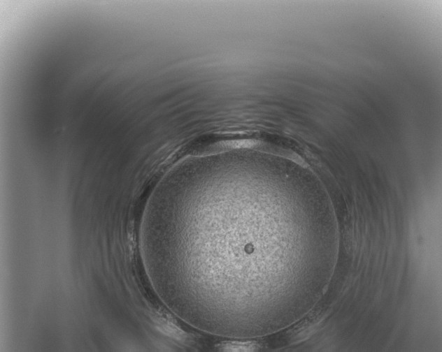 X0000059250085200510211640