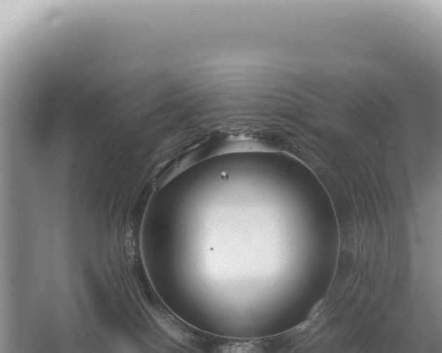 X0000059250086200510211640