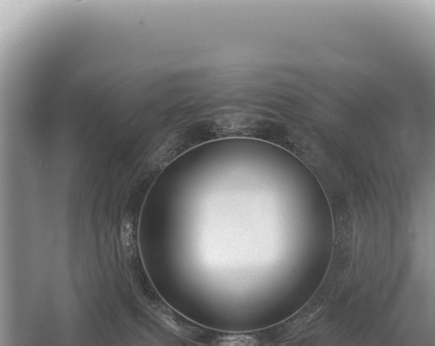 X0000059250087200510211640