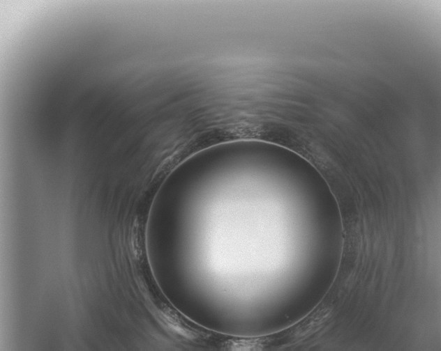 X0000059250088200510211640