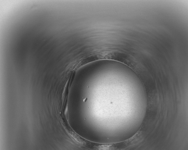 X0000059250090200510211640