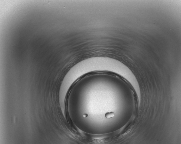 X0000059250091200510211640