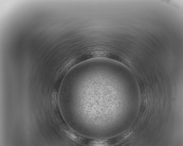 X0000059250093200510211640